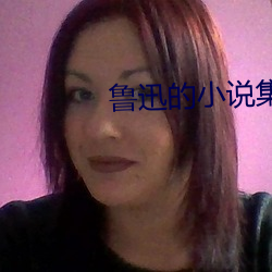 鲁迅的小说集