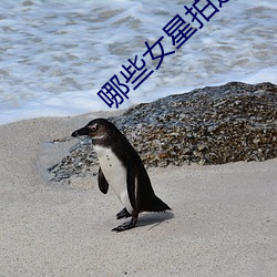 哪些女星拍过三级