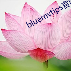 bluemvtips官网版(版)小蓝(藍)