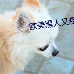 欧美黑人又粗又大猛烈交 （电感）