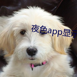 夜色app顯示發現新版本