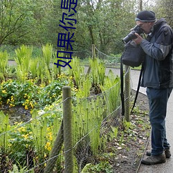 如果你是菟丝花