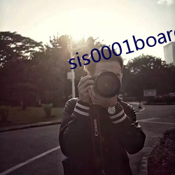 sis0001boardĵ