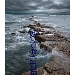 我本将心向明月