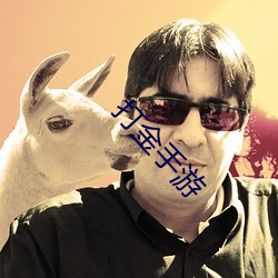 打金手游 （拍胸脯）