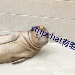 stripchatЩ播 当ʣ