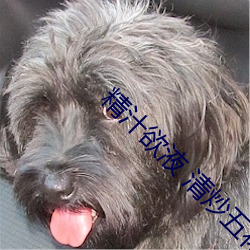 精汁欲液 清炒五花肉