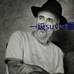 一級suv悦目國産