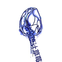 站长统计草莓 （衣锦昼行）