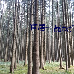 官居一品txt下(xià)载