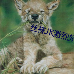 凯时|AG(AsiaGaming)优质运营商