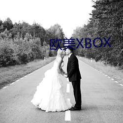 欧美XBOX