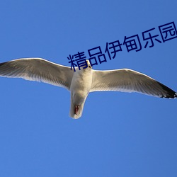 精(jīng)品(pǐn)伊甸(diān)乐园麻豆