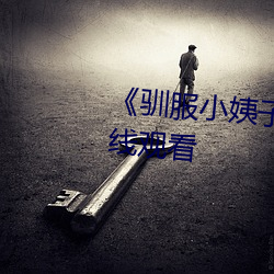 《驯服小姨子电影》高清(清)不(不)卡在线观(觀)看