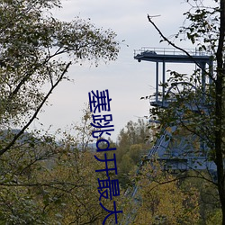塞跳d开(kāi)最(zuì)大挡不能掉(diào)哦文