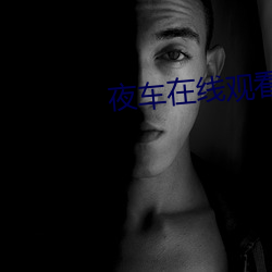 夜车在线观看免费国语完整 （青竹丹枫）