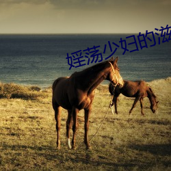 婬荡少妇的滋润长篇 （回肠伤气）