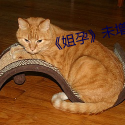 《姐孕(孕)》未增(增)删有(有)翻(翻)译