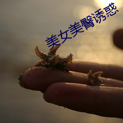 尊龙凯时-人生就是搏!