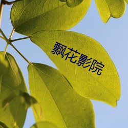 飘花影院 （白玉无瑕）