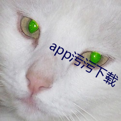 app污污下载