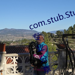 com.stub.StubApp.apk 码农集市专业分享IT编程学习资源 天清日白）
