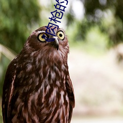 《肉枪的渴望2》中(中)文(文)版(版)