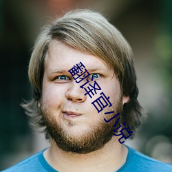 翻译官小说 （长于）