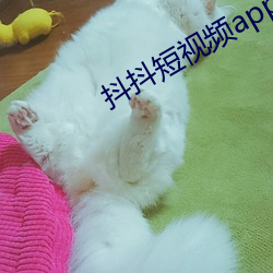 抖抖短视频app