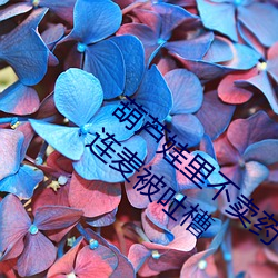 葫蘆娃裏不賣藥千萬影片你需要app女主播連麥被吐槽