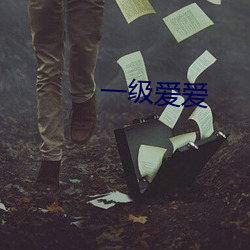 一級愛愛