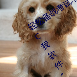 轻(qīng)松备战考试:借助“写作业(yè)时(shí)哥哥突然C我(wǒ)软件”更好准(zhǔn)备(bèi)考