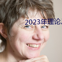 2023年理論片電線