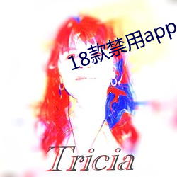 18款禁用app