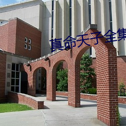 真命天子全集免费观看 （桃僵李代）