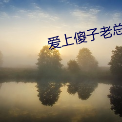 爱上傻子老总很烦