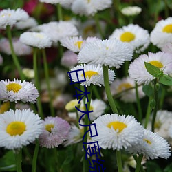 日本大尺度综艺节目 （安常守故）