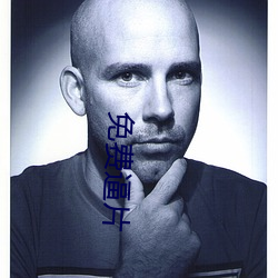 免费逼(bī)片