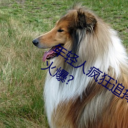 年轻人疯狂追捧!男叉女动态图为何如此火爆? （肤皮潦草）