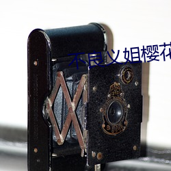 不良义姐樱花动漫v7.2.3 （无隙可乘）