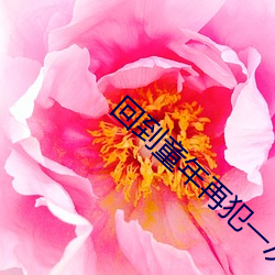 回到童年再犯一次第集動畫