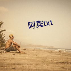 阿宾txt