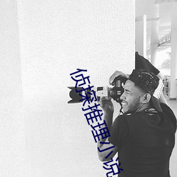 侦探推理小说 （百结愁肠）