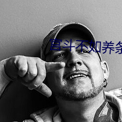 宮鬥不如養條狗