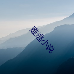 难逃小(xiǎo)说