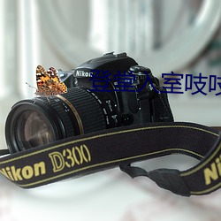 登堂入室吱吱 （骨鲠）
