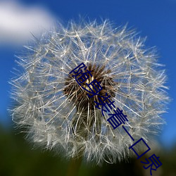 随身(shēn)装(zhuāng)着一口泉