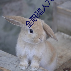全职猎(獵)人76高清在线播(播)放(放)
