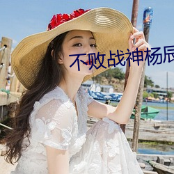 不敗戰神楊辰秦惜最