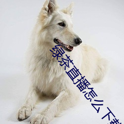 绿茶直(zhí)播怎么(me)下(xià)载不(bù)了(le)